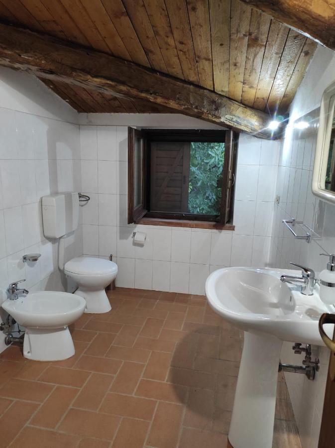 Agriturismo Difesa Del Monte Grisolia Esterno foto