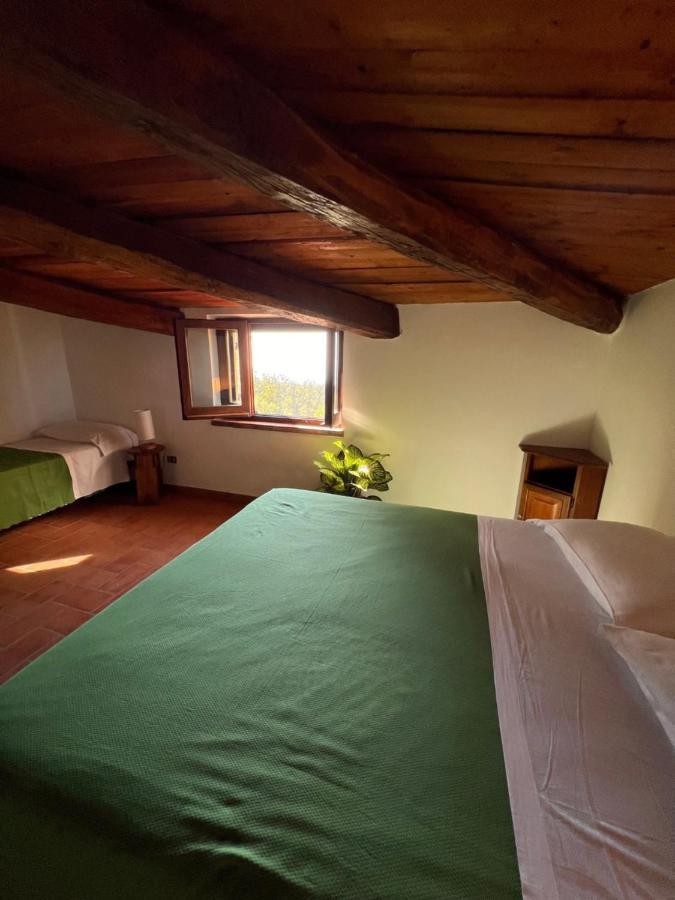 Agriturismo Difesa Del Monte Grisolia Esterno foto